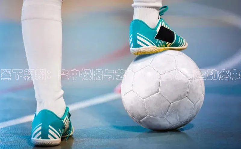 翼下翱翔：空中极限与艺术的航空体育运动赛事